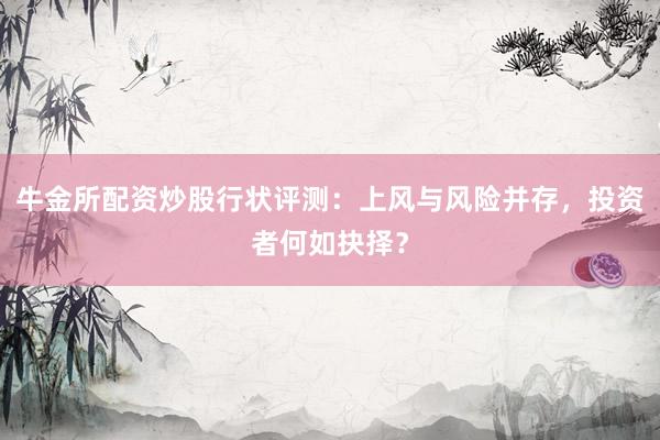 牛金所配资炒股行状评测：上风与风险并存，投资者何如抉择？