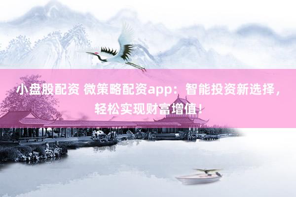 小盘股配资 微策略配资app：智能投资新选择，轻松实现财富增值！