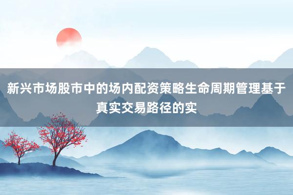 新兴市场股市中的场内配资策略生命周期管理基于真实交易路径的实