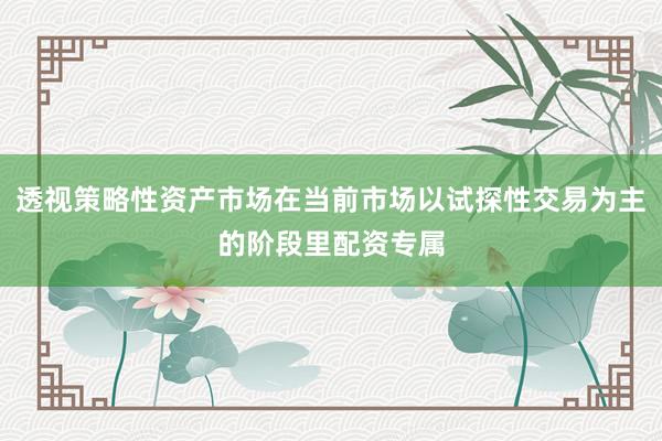 透视策略性资产市场在当前市场以试探性交易为主的阶段里配资专属