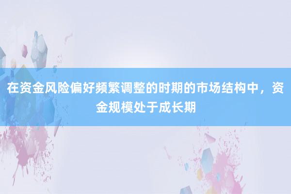 在资金风险偏好频繁调整的时期的市场结构中，资金规模处于成长期