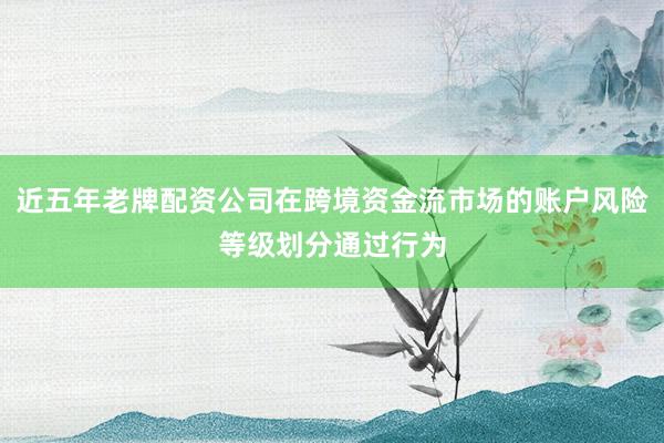 近五年老牌配资公司在跨境资金流市场的账户风险等级划分通过行为
