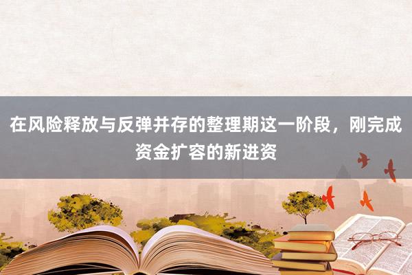 在风险释放与反弹并存的整理期这一阶段，刚完成资金扩容的新进资