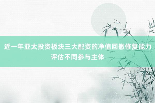 近一年亚太投资板块三大配资的净值回撤修复能力评估不同参与主体