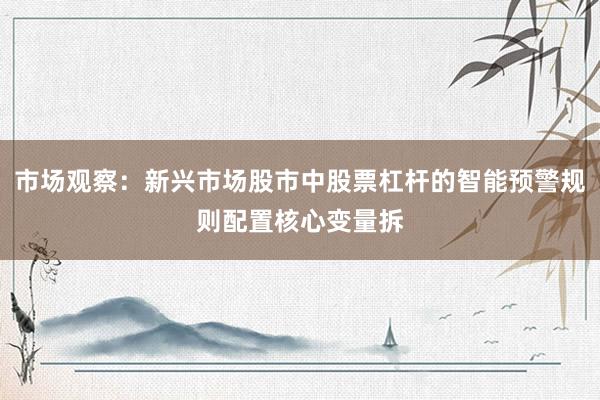 市场观察：新兴市场股市中股票杠杆的智能预警规则配置核心变量拆