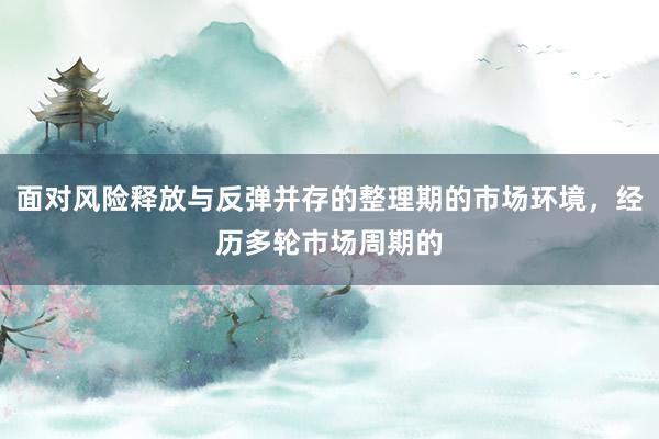 面对风险释放与反弹并存的整理期的市场环境，经历多轮市场周期的